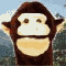 webicon