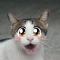 webicon