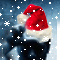 13.gif