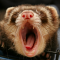 webicon