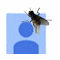 webicon