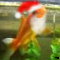 IMG_4574.PNG