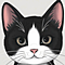 webicon