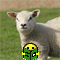 avadm2012lente.gif