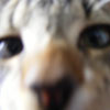 userpicture