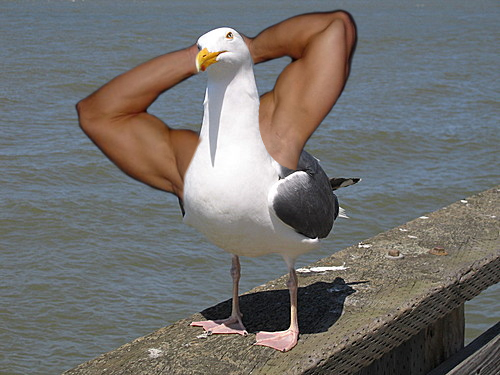 13zq1i0.jpg