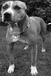 userpicture