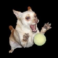 userpicture