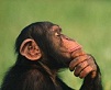userpicture