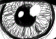 userpicture