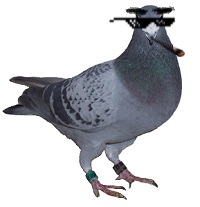 userpicture