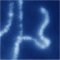webicon