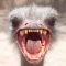 webicon