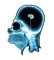 webicon