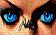 webicon