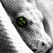 webicon