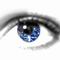 webicon