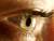 webicon
