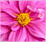 webicon