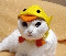 webicon