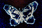webicon