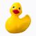 webicon