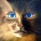 webicon