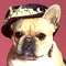 webicon