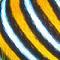 webicon