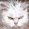 webicon