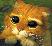 webicon