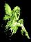 webicon