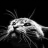 webicon