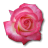 webicon