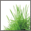 webicon