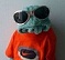 webicon