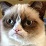 webicon