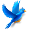 webicon