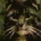 webicon