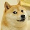 webicon