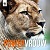 webicon