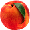 webicon