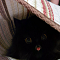 webicon