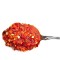 webicon