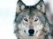 webicon