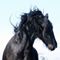 webicon