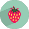 webicon