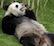 webicon