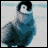 webicon