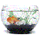 webicon